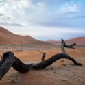 NAM HAR Dune45 2016NOV21 030 : 2016 - African Adventures, Hardap, Namibia, Southern, Africa, Dune 45, 2016, November